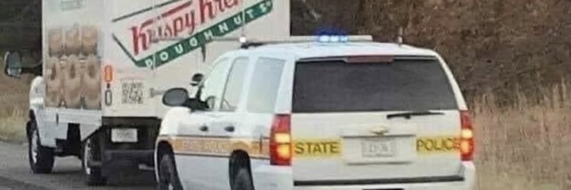 Domesticated Ranger banner