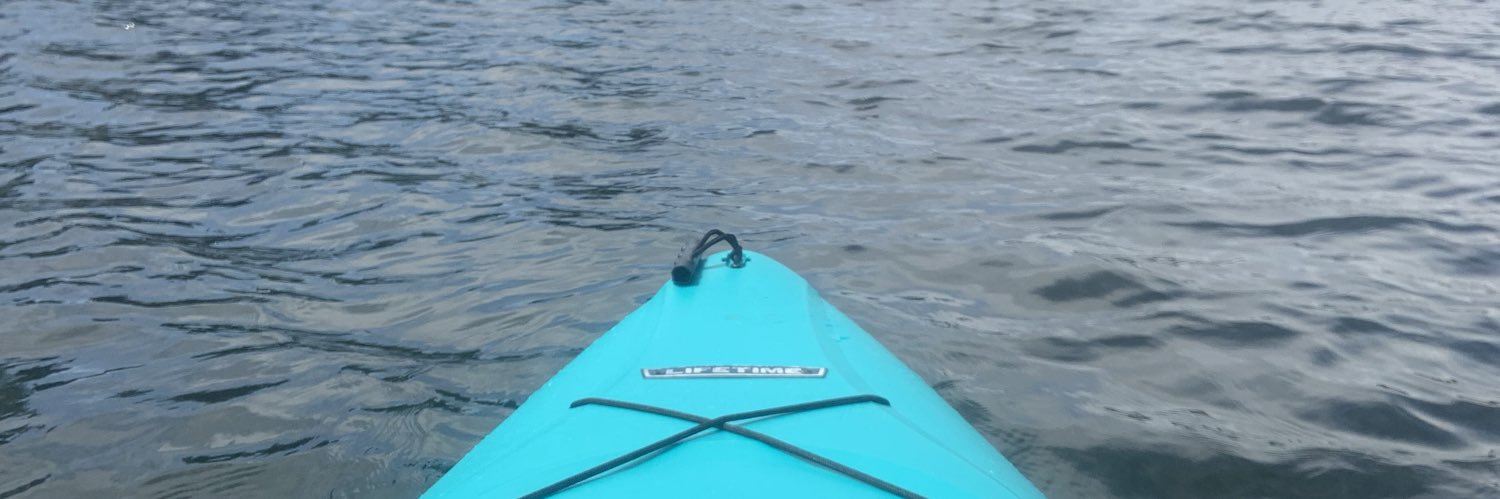 Lisa Patterson banner