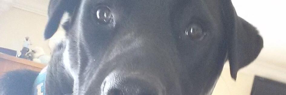 NYTOUK's profile banner image