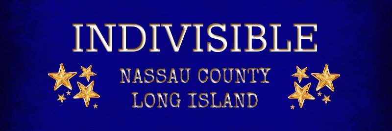 LI_Indivisible's profile banner image