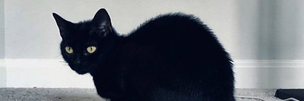 darveloper Profile Banner