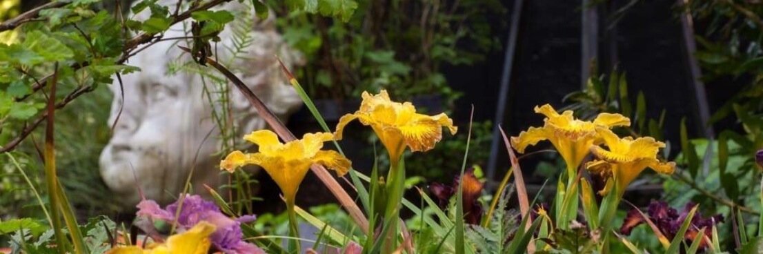 SFFlowerShow's profile banner image