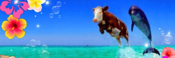 saanticordoba's profile banner image
