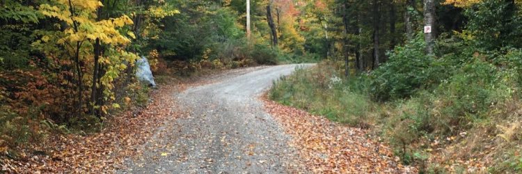 Michael Macari banner