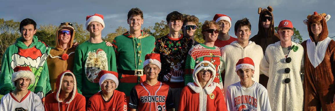 Bay Area Baseball banner