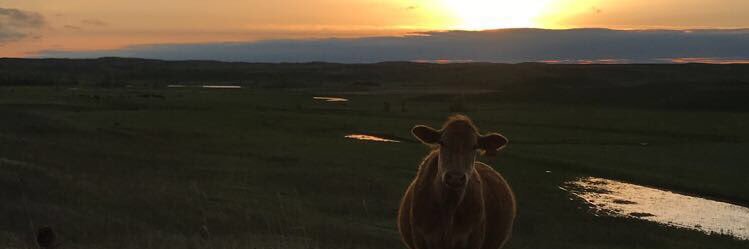 HayesHutter1's profile banner image