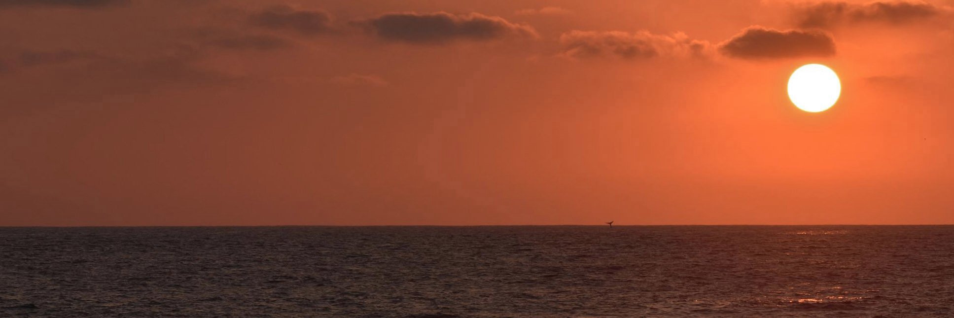 ediii88's profile banner image