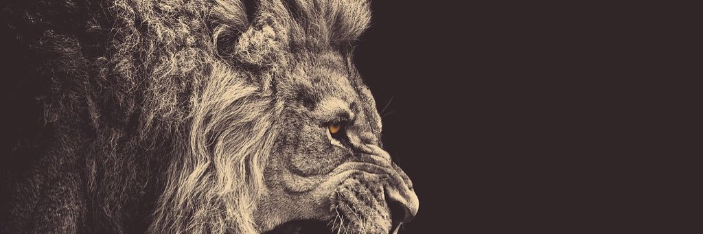 rywilson_22's profile banner image