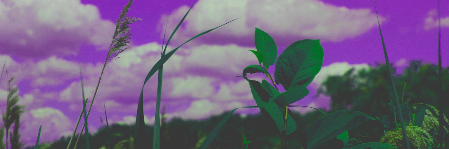 drucalv's profile banner image