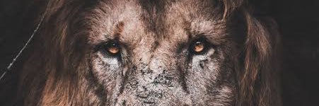 arnaurule's profile banner image