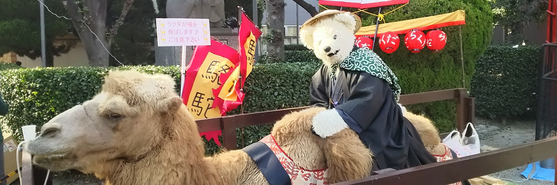 くま(仮) banner