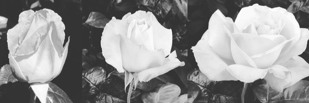 LifeOfMrsK's profile banner image