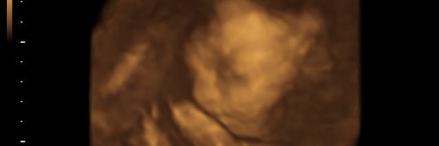em_mendez's profile banner image
