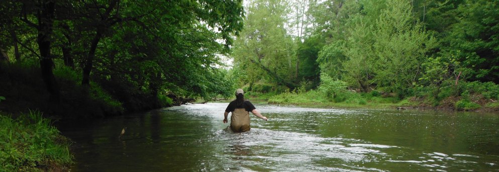 Jennifer Archambault, PhD banner