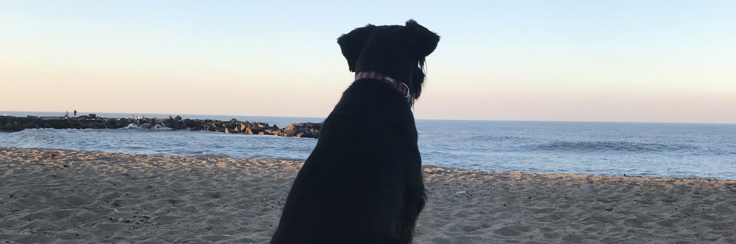 maguiarq's profile banner image
