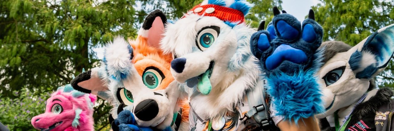 ShiroFoxX3's profile banner image