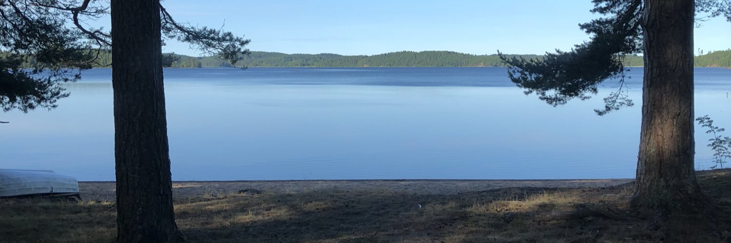 seblevander's profile banner image