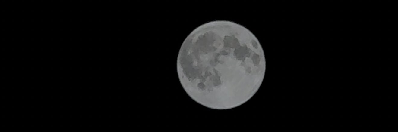 lovelyxstarr's profile banner image