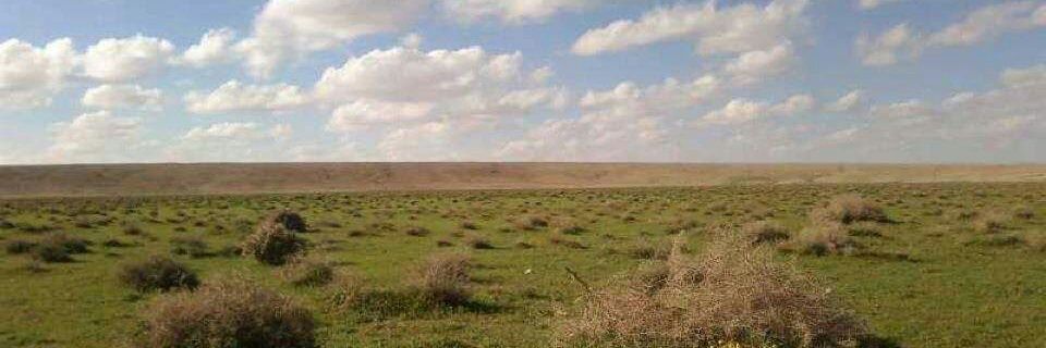 محمد fazaa banner