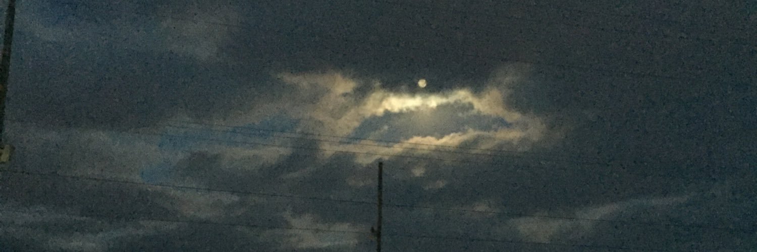 Carrie Danger 🎙 banner