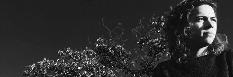 NicoCardozoR's profile banner image
