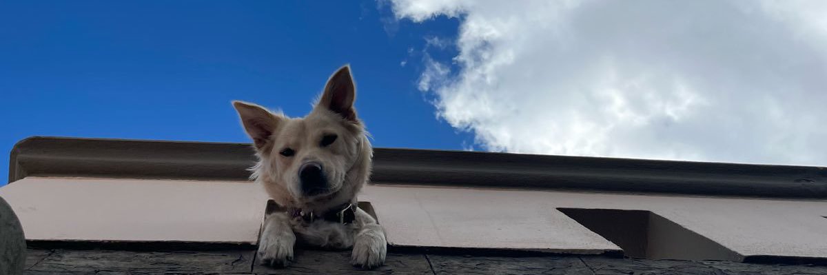 vicobadilla's profile banner image