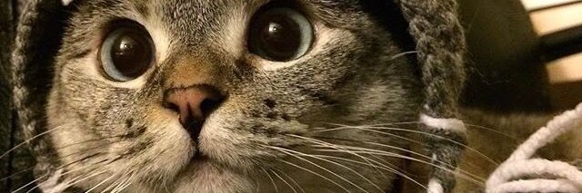 kevintaps_'s profile banner image