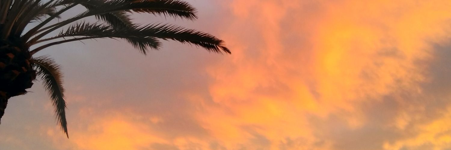 Emelia_Eliott's profile banner image