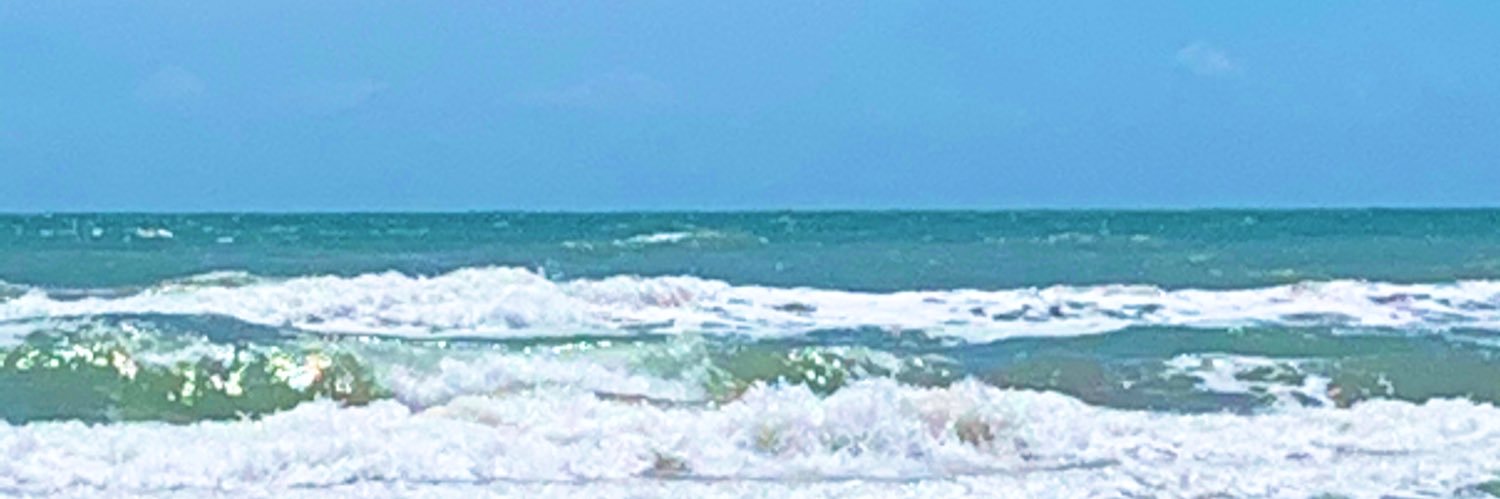 Perla_Sol23's profile banner image