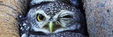autistic_mummy's profile banner image