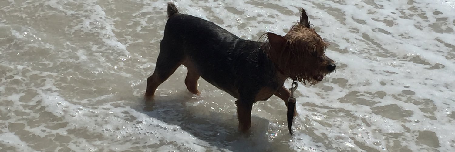 peanutacle's profile banner image