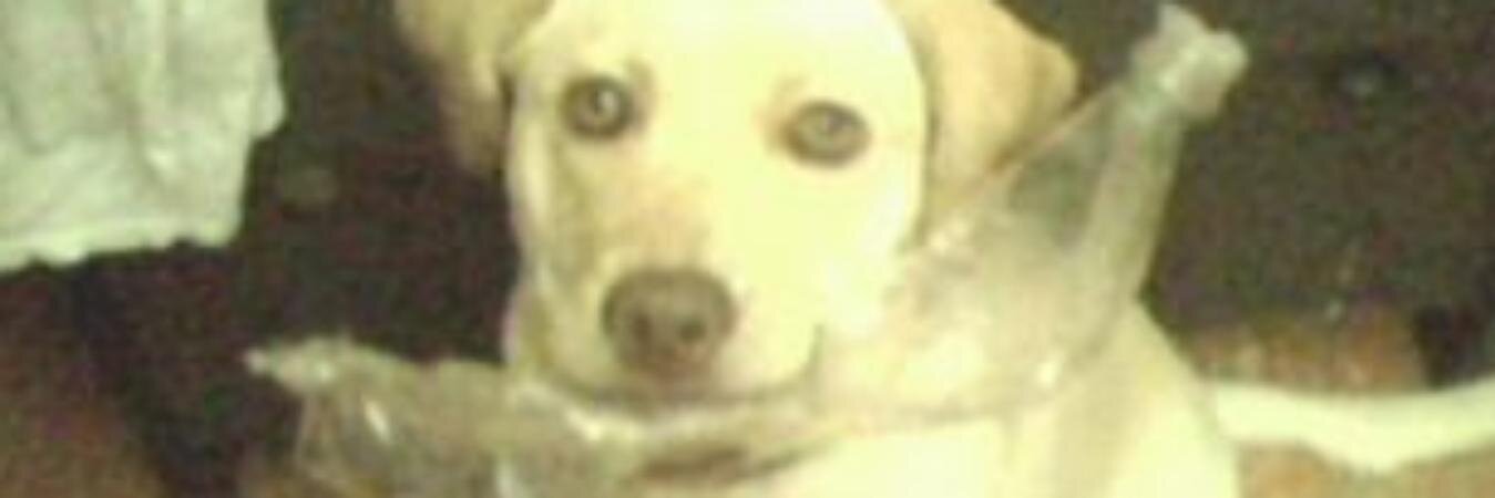 edwinr_'s profile banner image