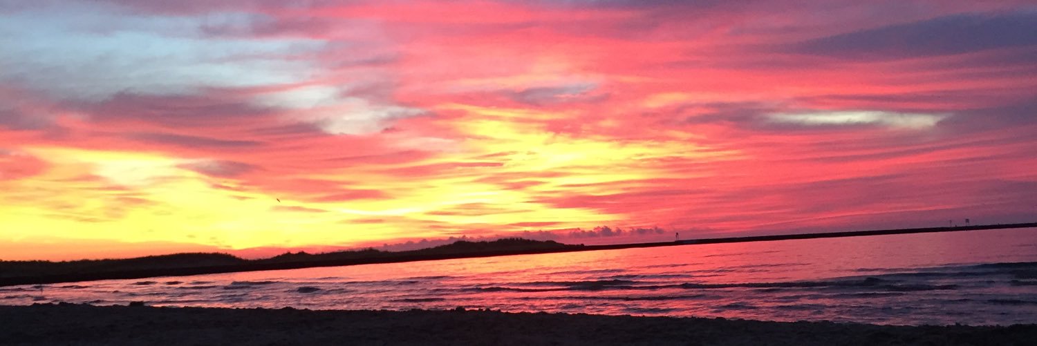 alyssaxdavidson's profile banner image