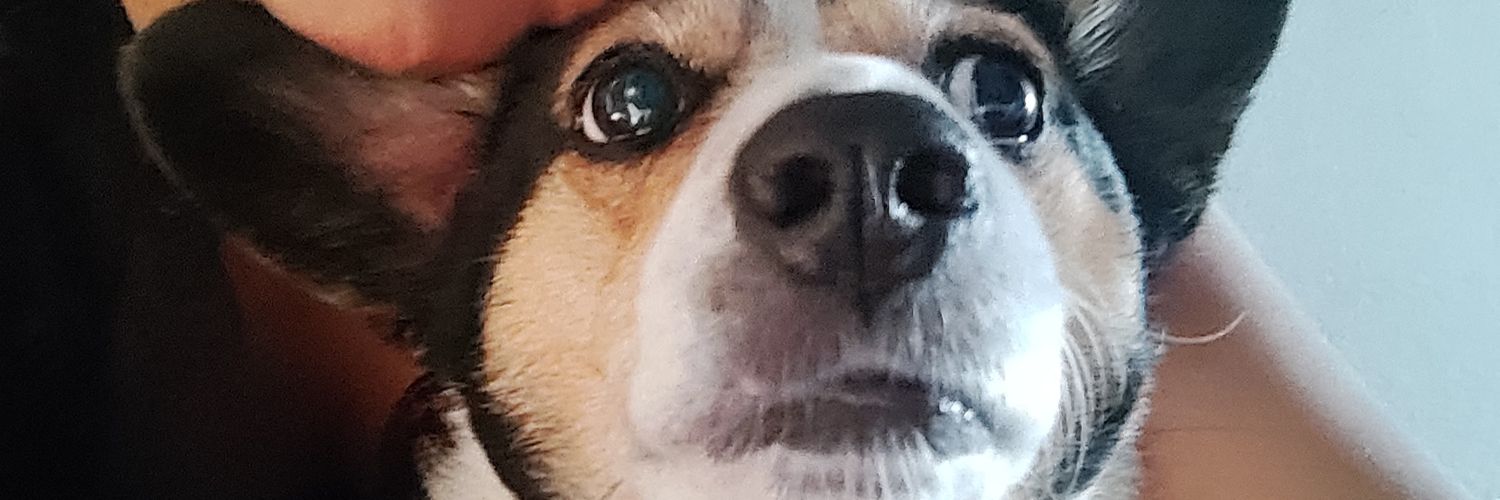 tymc100's profile banner image