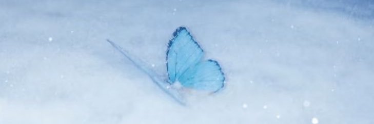 Void_Kisses's profile banner image