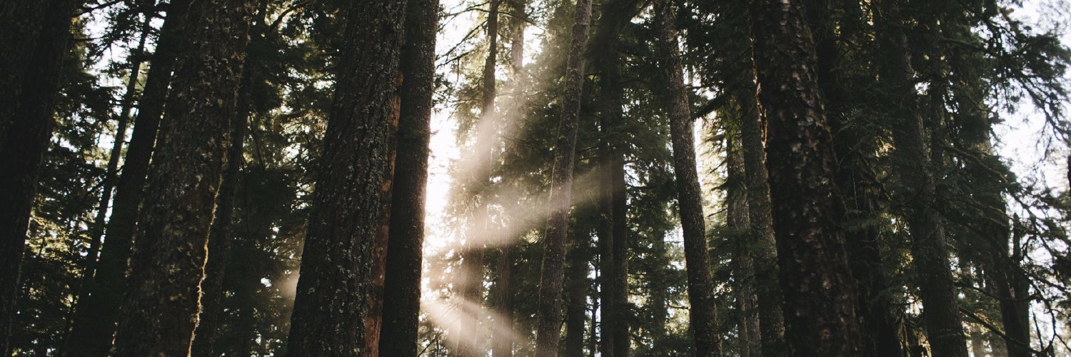 MusqueamCapitalCorp banner