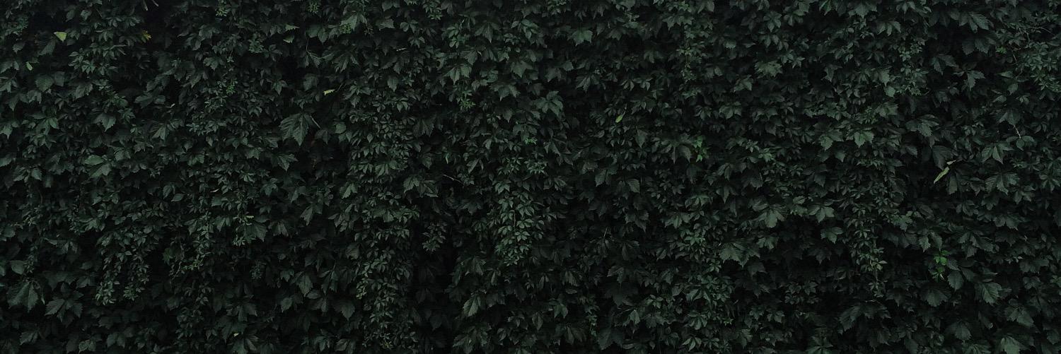 tailoredsocks's profile banner image