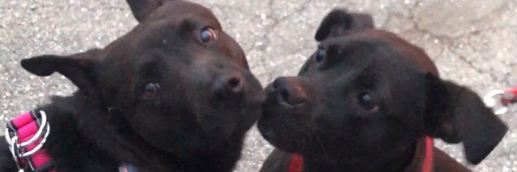 brennaashley's profile banner image