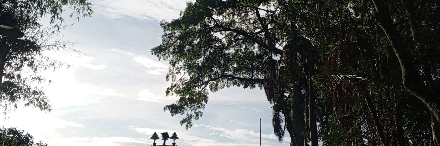 Jessikud's profile banner image