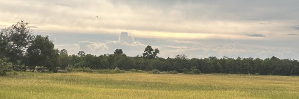 Kanokwan080940 Profile Banner