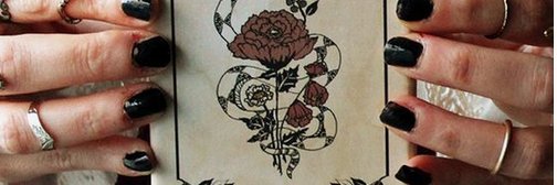 sofiahasler's profile banner image