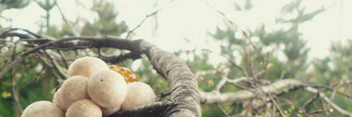 Claumart251's profile banner image