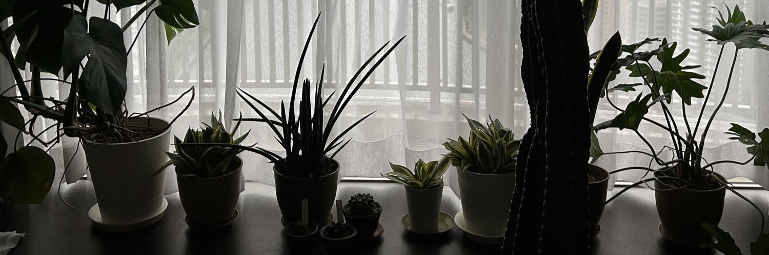 はむきち🌼 banner