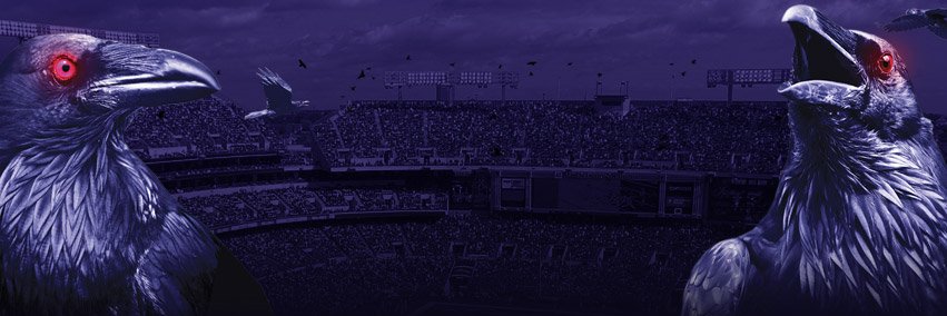 RavensMx's profile banner image
