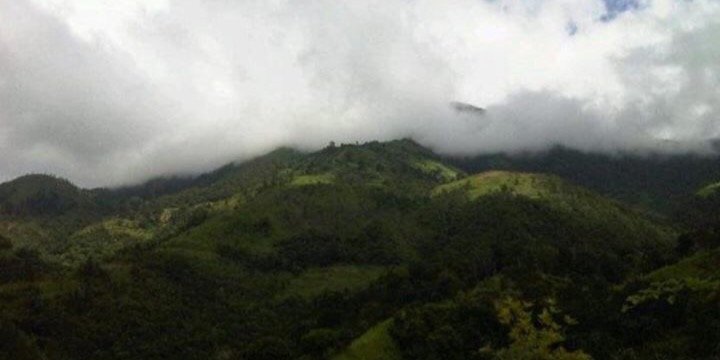 SerraTradingCo's profile banner image