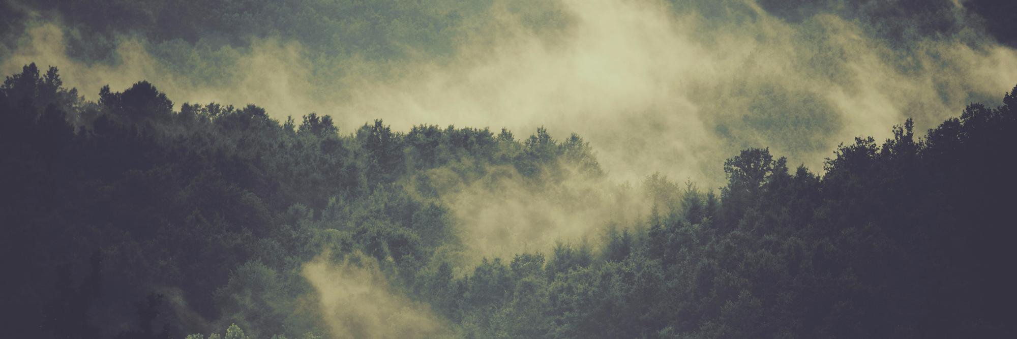 Print_Ritual's profile banner image