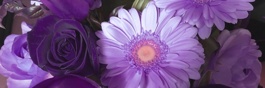 Anqu_1230's profile banner image
