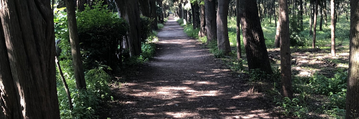 ALEJANDRO ROJAS F. banner