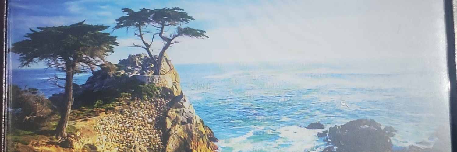 Travis Stribling banner