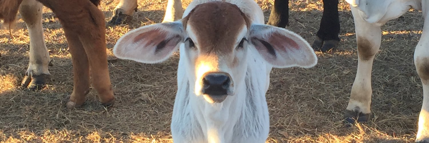 OneyClint's profile banner image